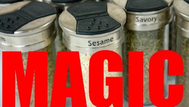 芝麻原来是这么长的啊