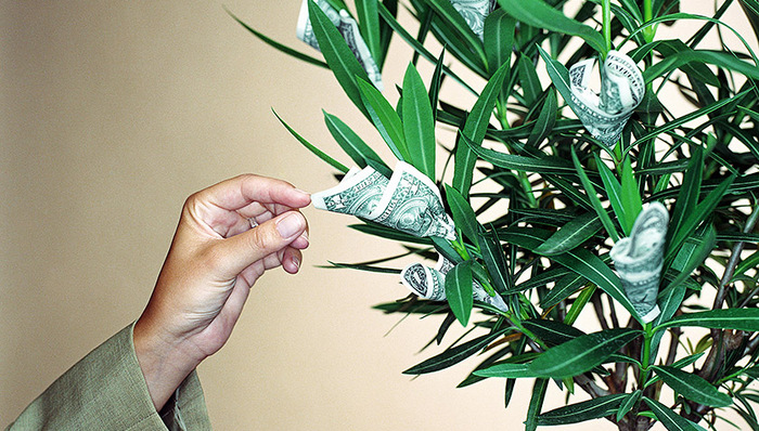 丰乐种业挂牌清仓徽商银行 投资收益远超去年净利润