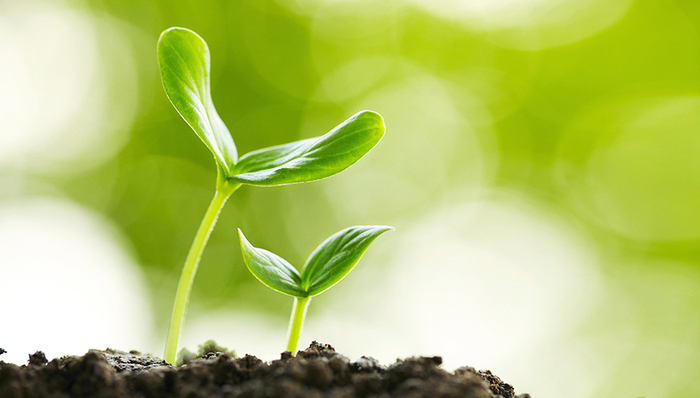 化工,财报那些事