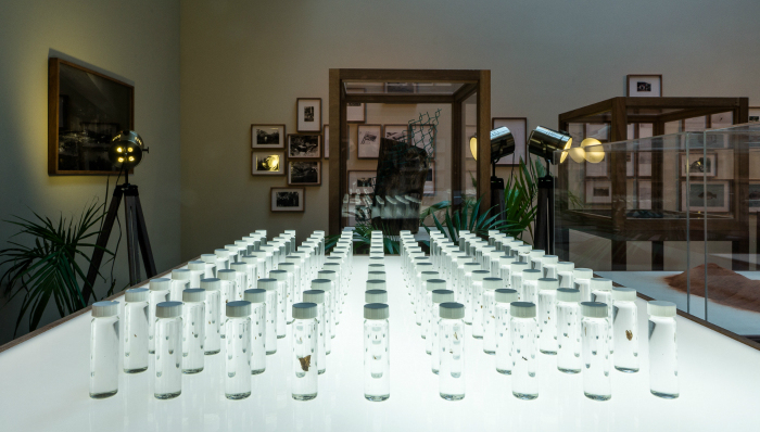 艺术,艺术家,活动与展览,当代艺术