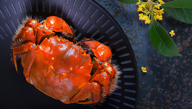 排位赛,阳澄湖,顺丰,物流公司,大纵湖,电商,大客户,大银行,棱镜,天猫