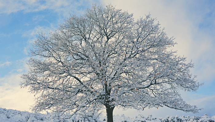 冷空气,南方降温,雨雪
