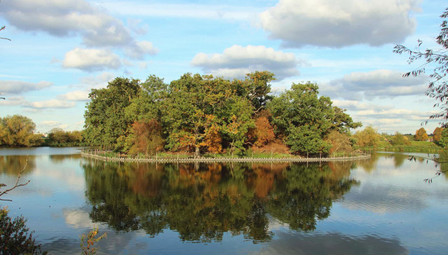 伦敦开放欧洲最大城市湿地公园 观鸟游爱好者有福了