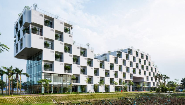 越南河内有一面棋盘墙，上面可以栽花种树