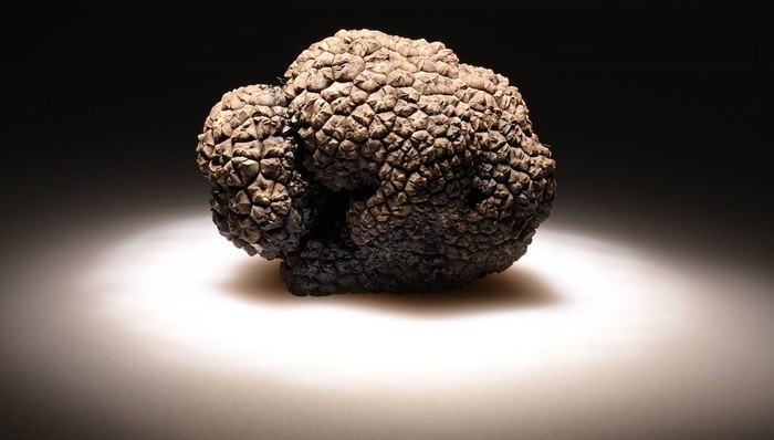 意大利,气候变化,美食