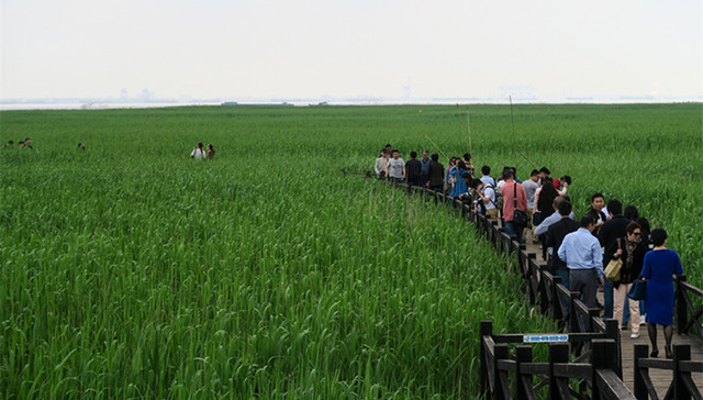 上海,家底,海拔最高