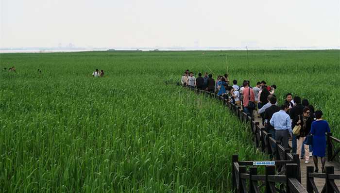 上海,家底,海拔最高