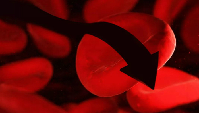 上海莱士,股价,市值