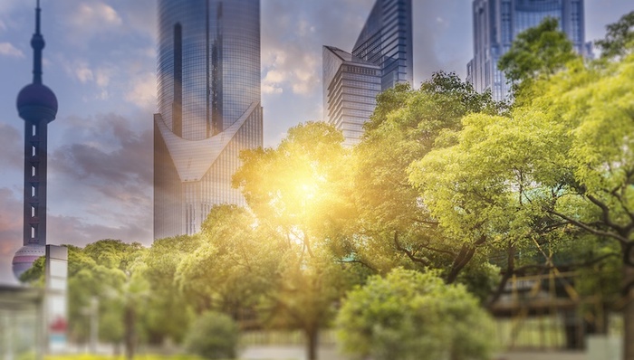 绿皮书,,创新型城市,社科院