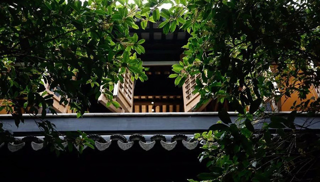 青山周平用老宅改造出了一家民宿，老苏州里的高级志趣在这都齐了