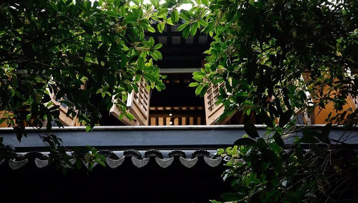 青山周平用老宅改造出了一家民宿，老苏州里的高级志趣在这都齐了