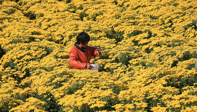 农村土地承包法,农民,农民权益