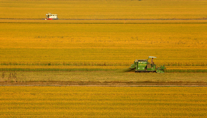 农村土地改革,北京大兴,试点