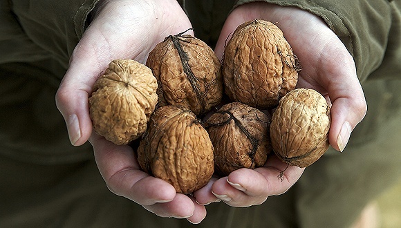 IPO,植物蛋白,六个核桃