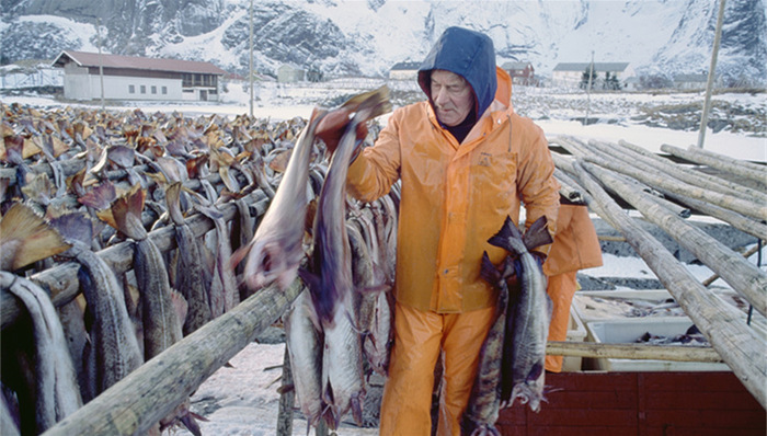 继三文鱼和鳕鱼之后 挪威又开始在中国推销“小众”海鲜