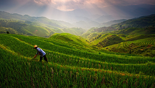 自然之道,实际对象,学思,自然恢复,顺应自然,大自然,人类,改造,保护自然,顺应