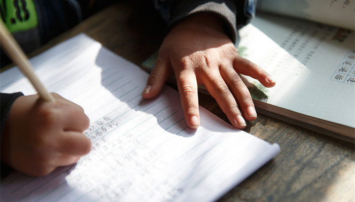 家庭作业,家长作业,腾冲,一夜暴富,政协主席,认罪从宽,中小学运动会,鹦鹉案