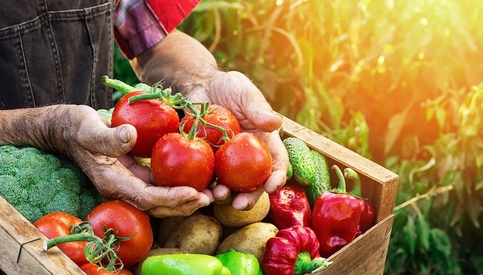 区块链能在食品领域做些什么？