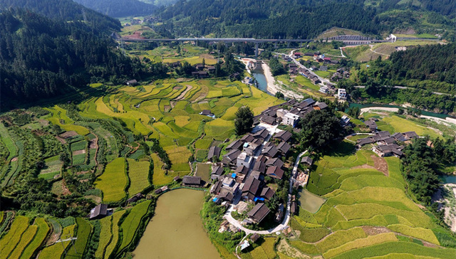 住建部：2020年90%农村生活垃圾有望得到处理