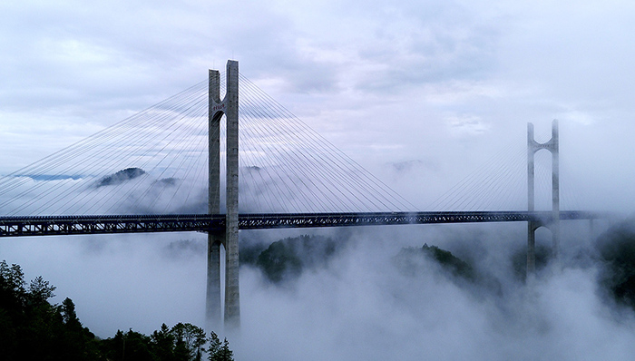 长江干流,中铁大桥局,公路桥梁,长江大桥,桥梁建设,八纵八横,中国桥,高速铁路,运输部,铁路网