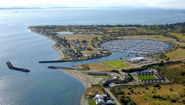 中国富豪投资美国小镇 比邻加拿大引两国关注