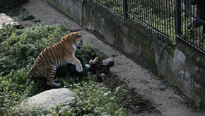 天下故事,惊奇的发现