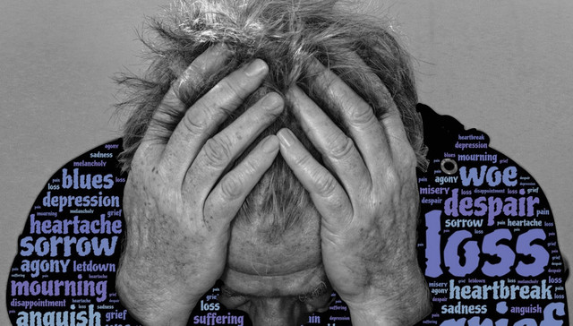 德奥通航,珍爱网,富国基金