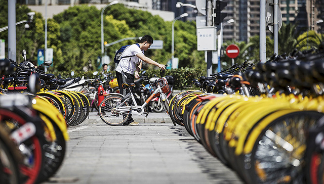 共享单车,政策,牌照,意外险,上海