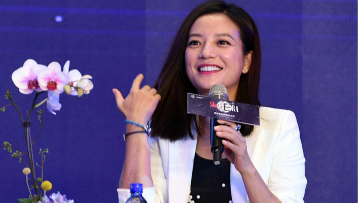 证监会,证券市场,赵薇和,证券业务,传媒,借款,银必信,套现,停牌,空手套白狼