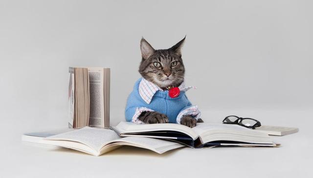 【一周新书推荐】剁完手该收收心读书了