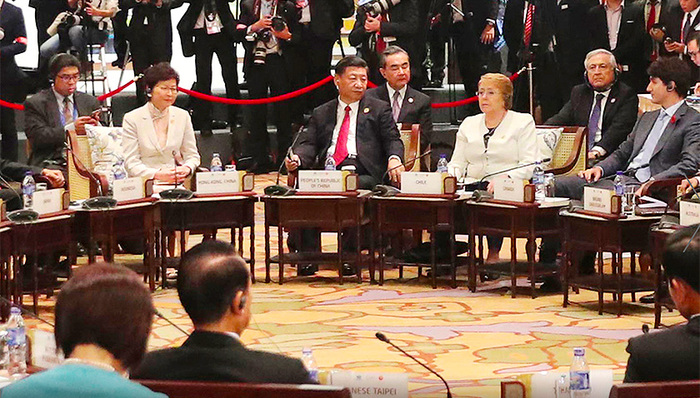 习近平,领导人峰会,一带一路,APEC,和平发展道路,伙伴关系,国家主席,互利共赢,数字经济,亚太经