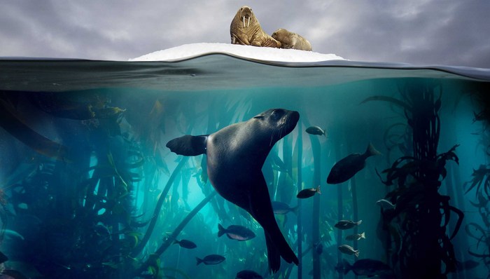 时隔16年 BBC又推出了一部“最美神作”