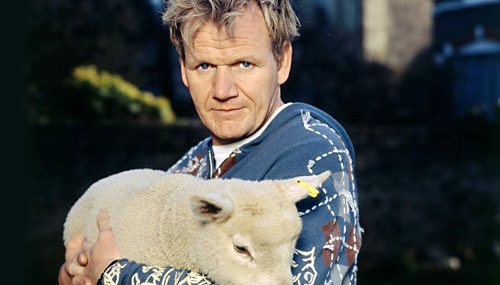 这位米其林大厨专门点评黑暗料理