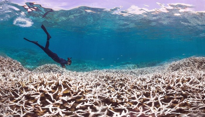 气候变化,自然遗产