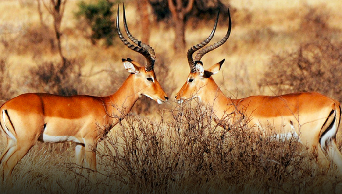 房地产,产业地产,今日头条,滴滴,斗鱼,优惠政策