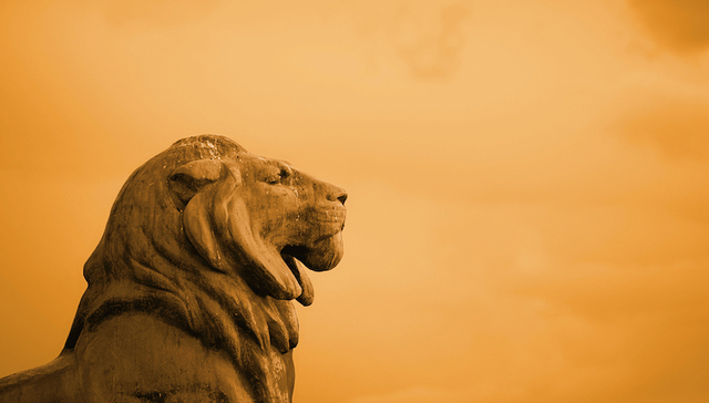 CCER,Elaine,tenure,人到中年,巅峰,选择题,天秤座,夏令营,创业公司,麦肯锡