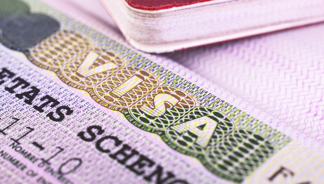 特朗普,印度和中国,持有者,配偶,开刀,工作签证,Chronicle,签证政策,高等教育,Emily