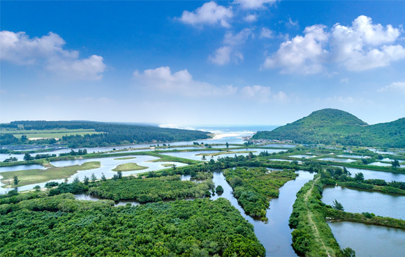 鲁能集团：持之以恒，善作善成，实心实意建设国际旅游岛