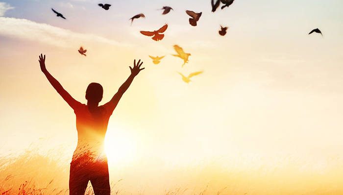 海曙区,智能制造技术,并联机器人,新程,三江口,城乡教育,一号文件,金山银山,陷阱,新挑战