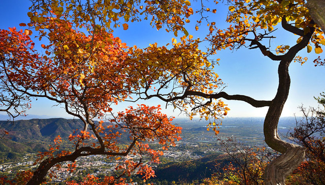 香山公园,赏红叶