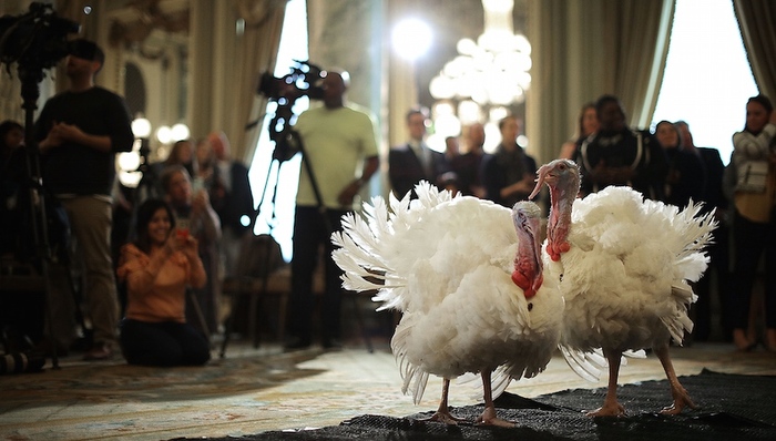 天下故事,惊奇的发现