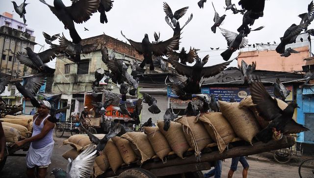 意外上调印度主权债务评级 穆迪传递出什么信号？