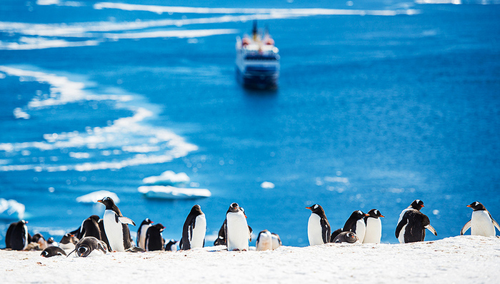 南极科考,南极,天山站,西南极洲,南设得兰群岛,南极冰盖,科考船,南极大陆,南极考察队,南极科学