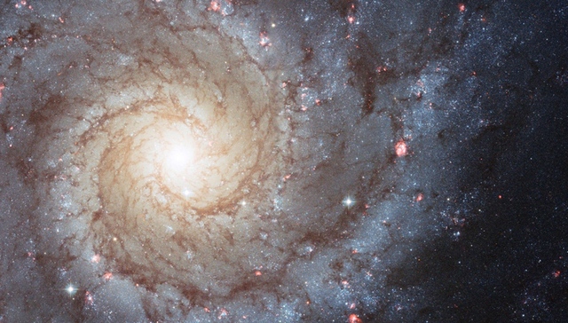 地球生命始于宇宙尘埃携带的微生物？科学家提出新理论