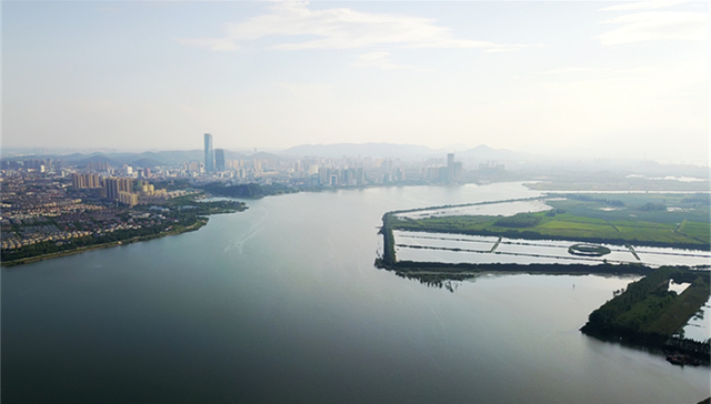 海洋底栖生物,长江三角洲地区,研究人员,研究成果,有孔虫,距今,古生物学杂志,温室气体,地质历史,冰