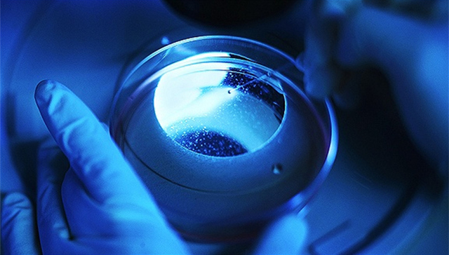 干细胞生物学,标准工作组,药品审评中心,干细胞库,干细胞研究,干细胞通用要求,转化研究,标准制定,标