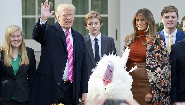 传统打哪来？说说美国总统赦免火鸡那些事