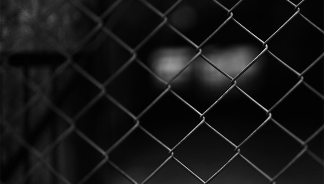 鲁炜,落马,中纪委