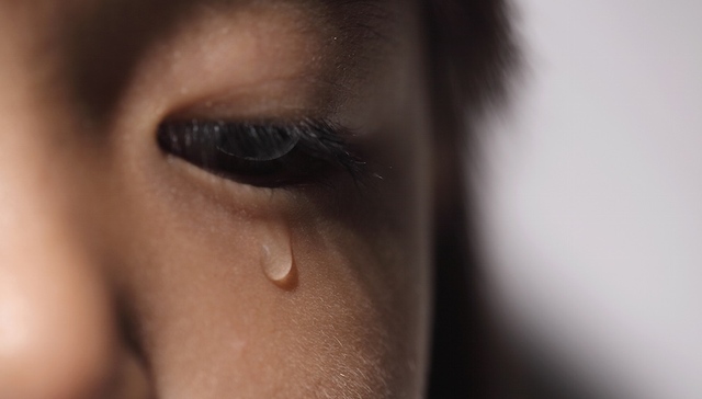 北京被指虐童幼儿园3名涉事老师停职 区教委：有没有扎针暂无定论