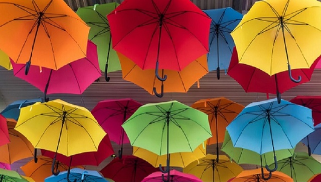 《伞学》：关于雨伞的一切